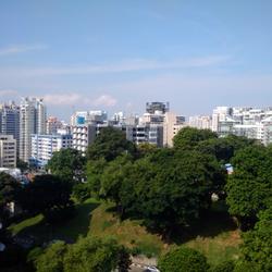 The Centrio (D12), Apartment #73465842